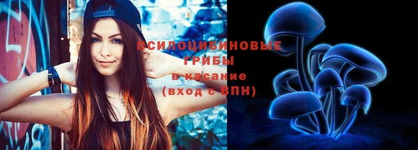 ПСИЛОЦИБИНОВЫЕ ГРИБЫ Ельня
