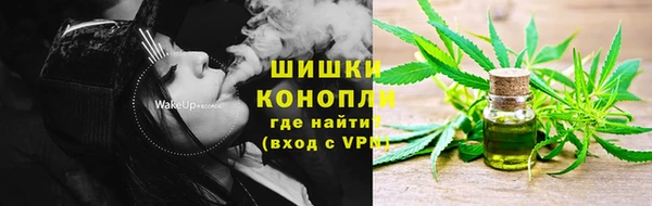 ГАЛЛЮЦИНОГЕННЫЕ ГРИБЫ Заволжск